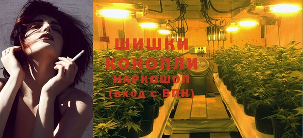 прущие грибы Нягань