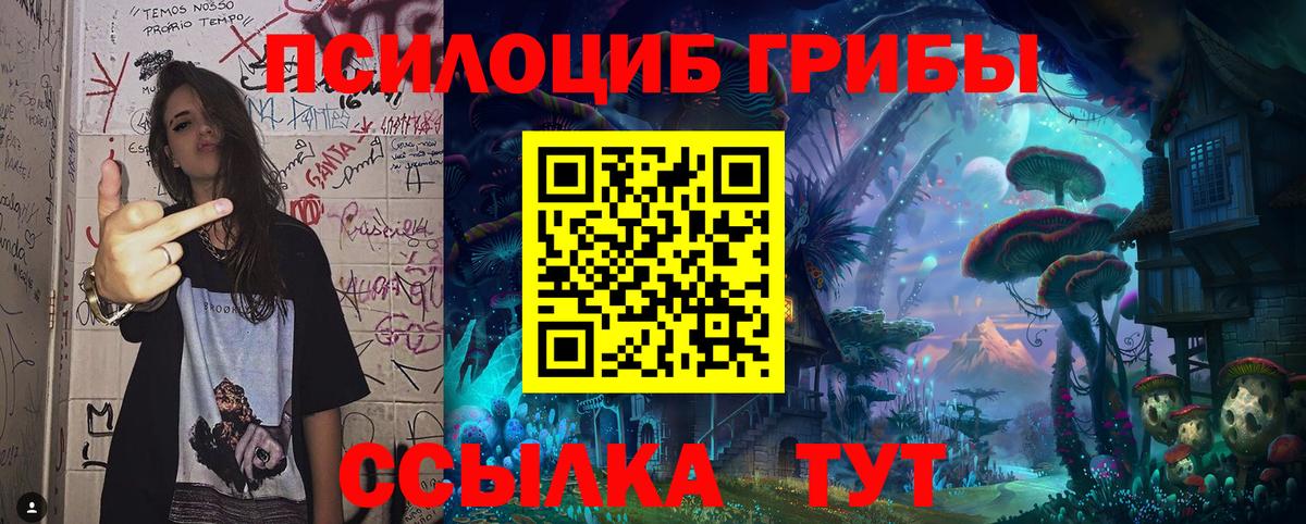 Псилоцибиновые грибы GOLDEN TEACHER  Вход с VPN  Холмск 