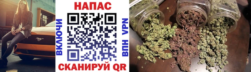 дарнет шоп Холмск Бошки марихуана OG Kush